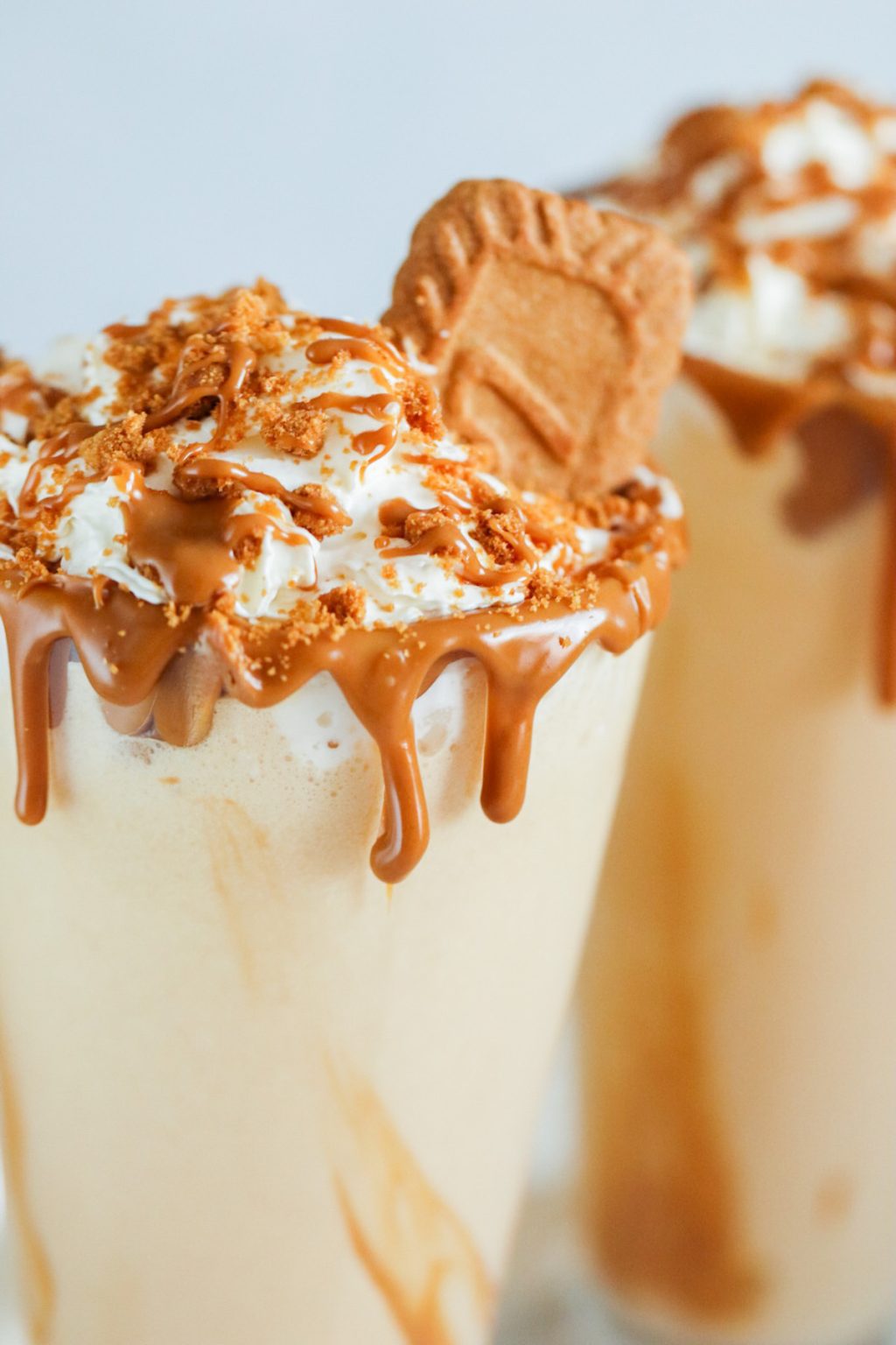 Lotus Biscoff Milkshake Recipe My Morning Mocha