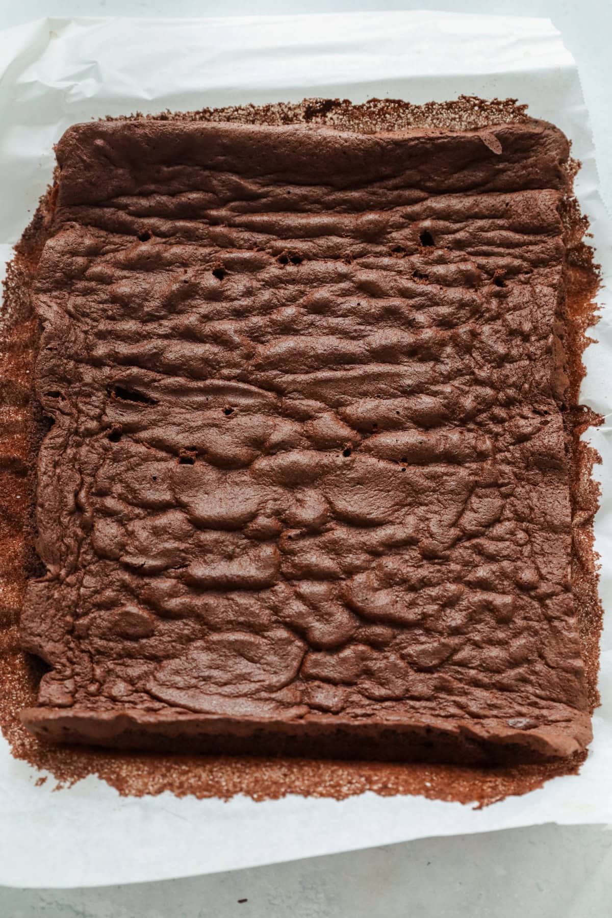 baked chocolate genoise sponge